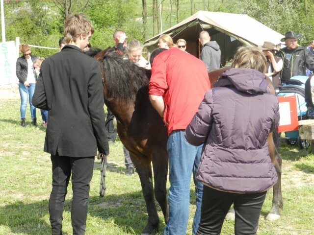 Rajd Mszana Górna 2015